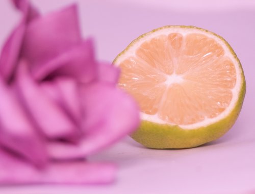 rose  lemon  pink