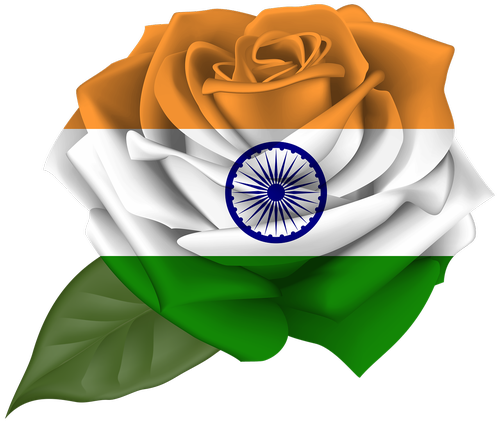 rose  india  iran
