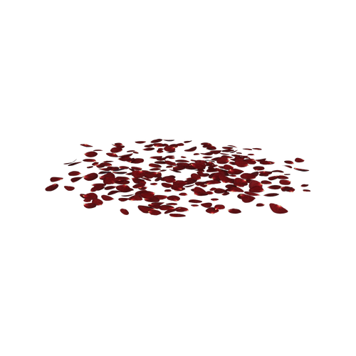rose  petals  scattered