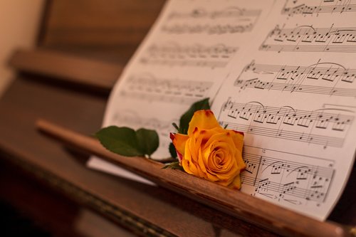 rose  orange  piano