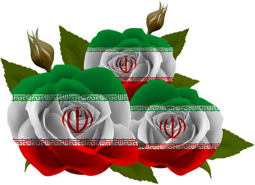 rose  iran  tajikistan