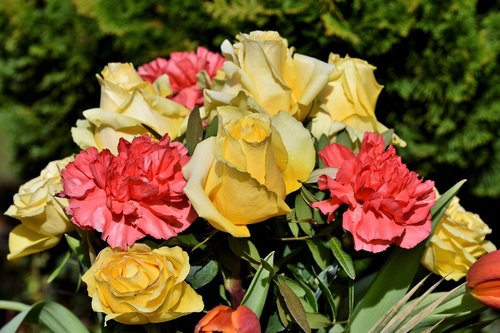 rose  carnation  bouquet of roses