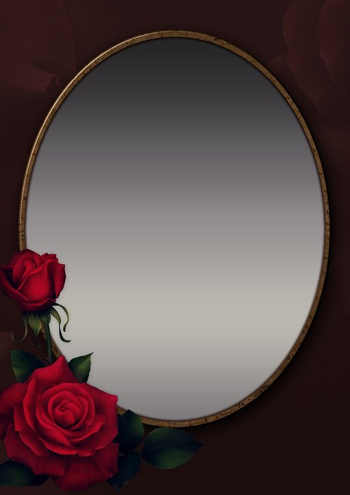rose  frame  mirror