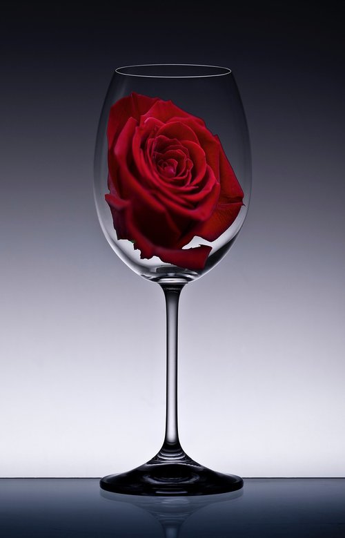 rose  class  romantic