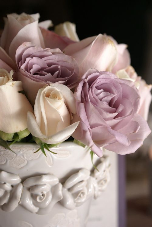rose vase pastel