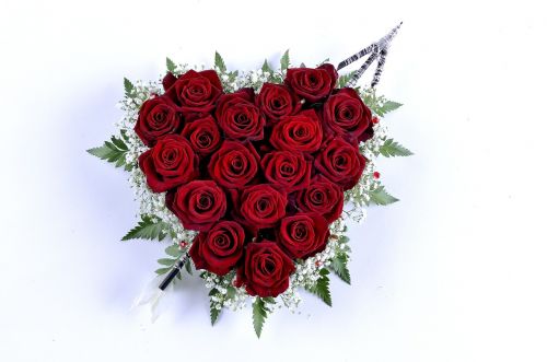 rose rosa heart