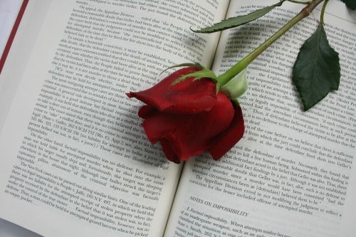 rose flower book