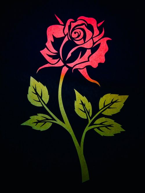rose flower contour