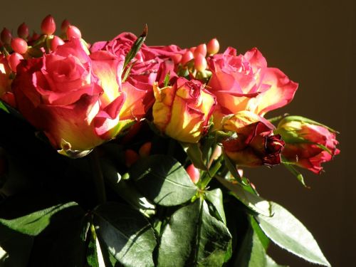 rose bouquet flowers