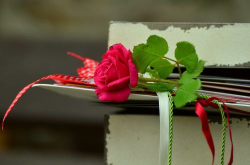 rose romance letters