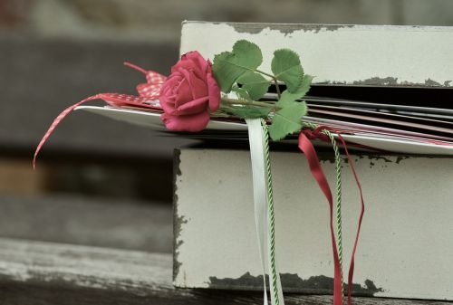rose romance letters