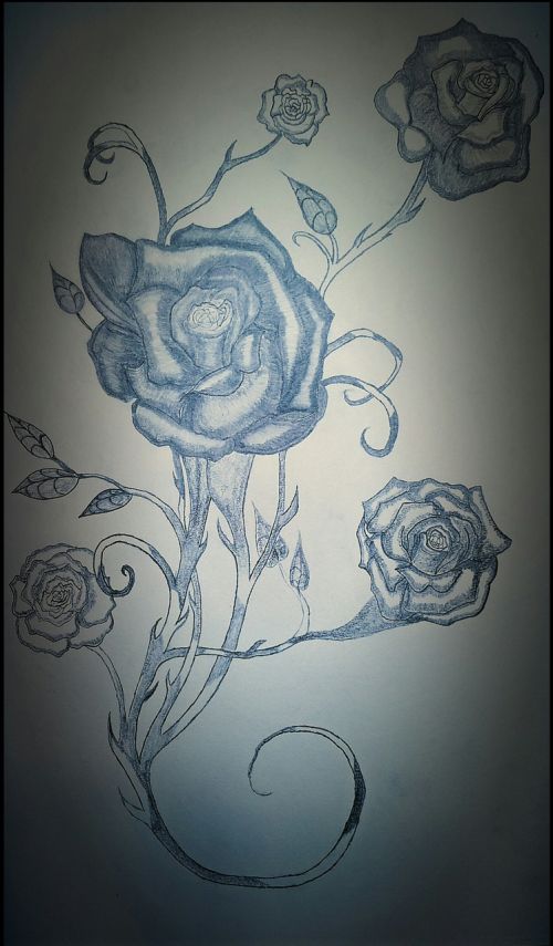 rose pencil tattoo