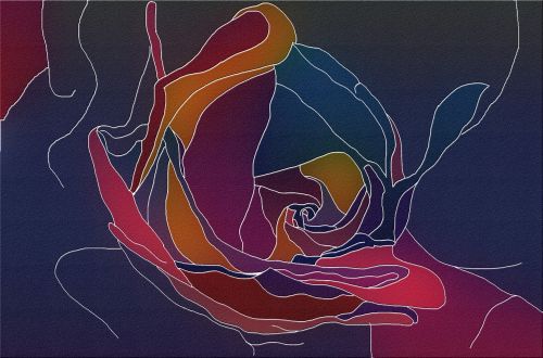 Rose Multi-color