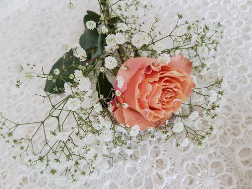 rose orange gypsophila flower arrangement lying