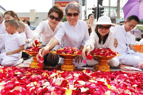 rose petals thai thailand