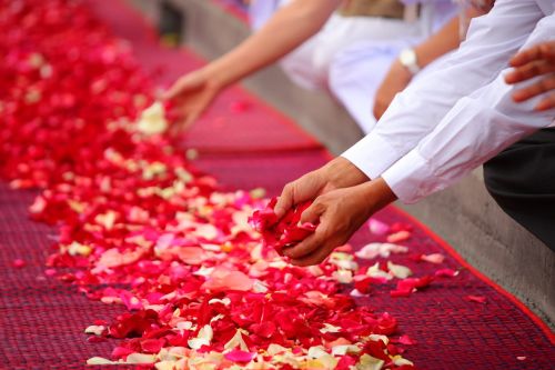 rose petals buddhism people