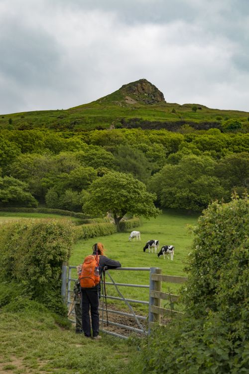 Roseberry Topping