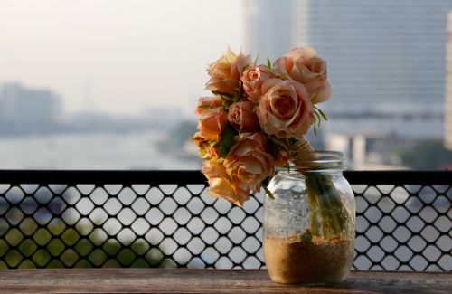 roses vase bouquet