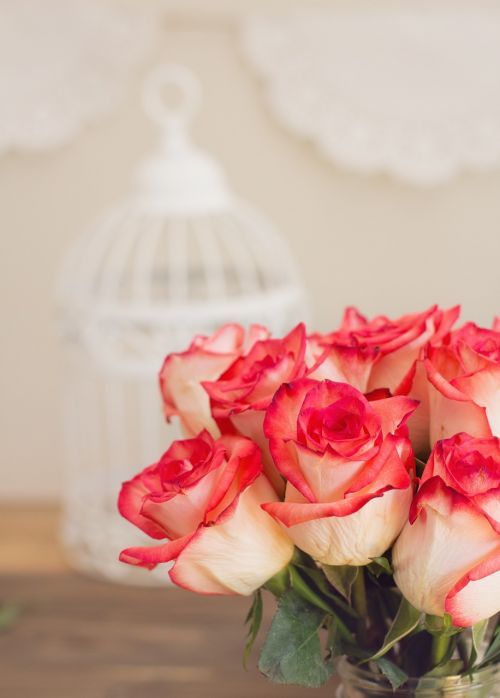 roses bouquet pink