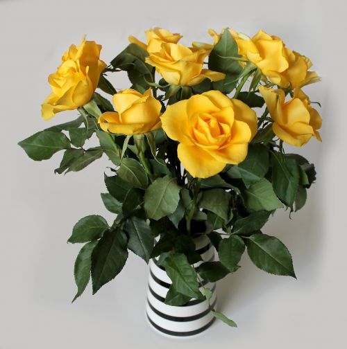 roses bouquet yellow