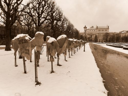 roses winter snow