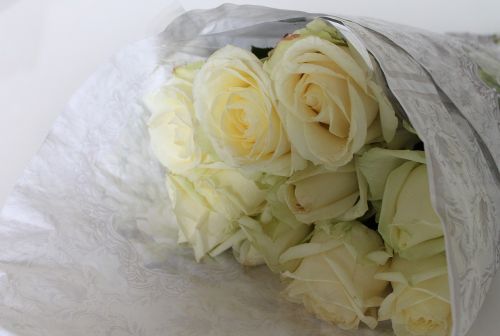 roses wrapping white