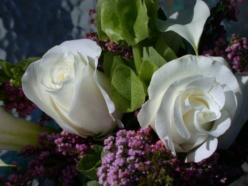 roses vase white roses