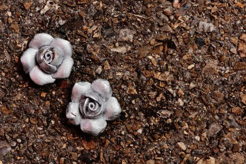 roses silver flowers