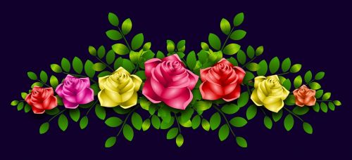 roses flowers floral