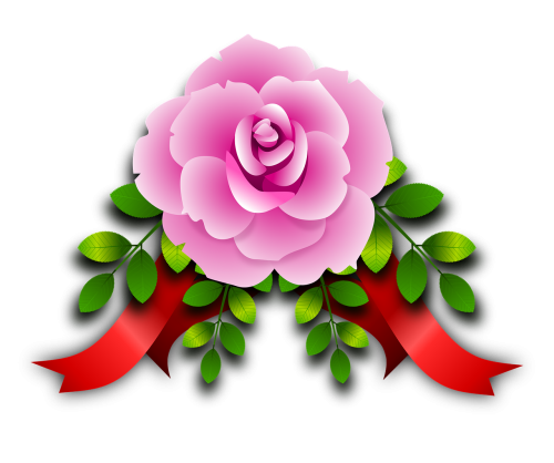 roses flowers floral