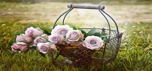 roses flowers basket
