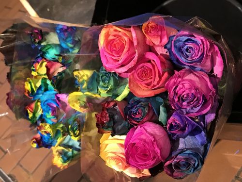 roses rainbow bouquet