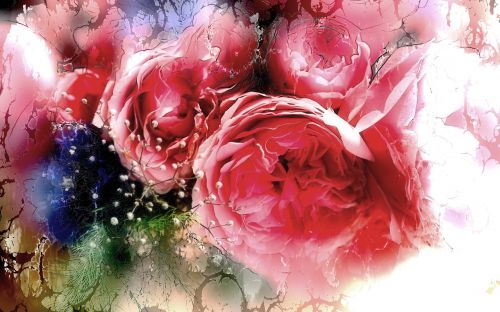 roses painting background