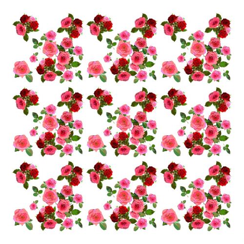 roses rose pattern background image