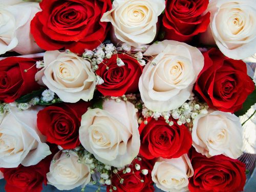 roses wedding bouquet