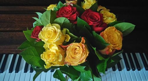 roses piano flowers