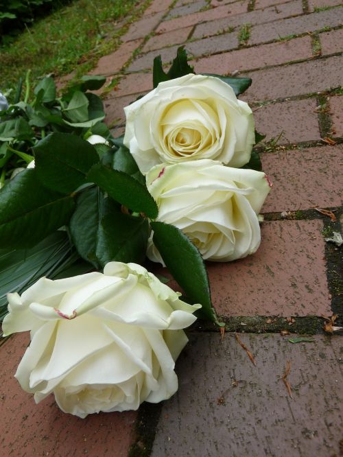 roses white funeral