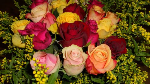 roses bouquet colorful