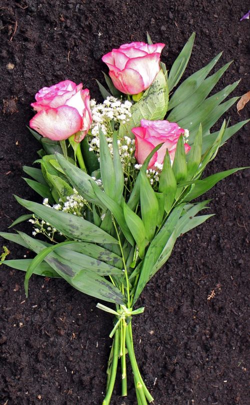 roses bouquet floral arrangement