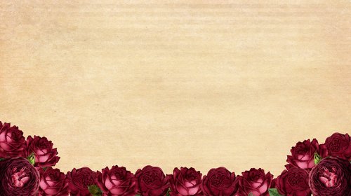 roses  frame  background image