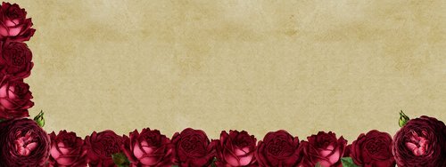 roses  frame  background image