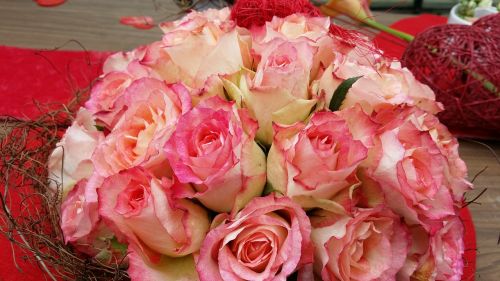 roses buquett plant