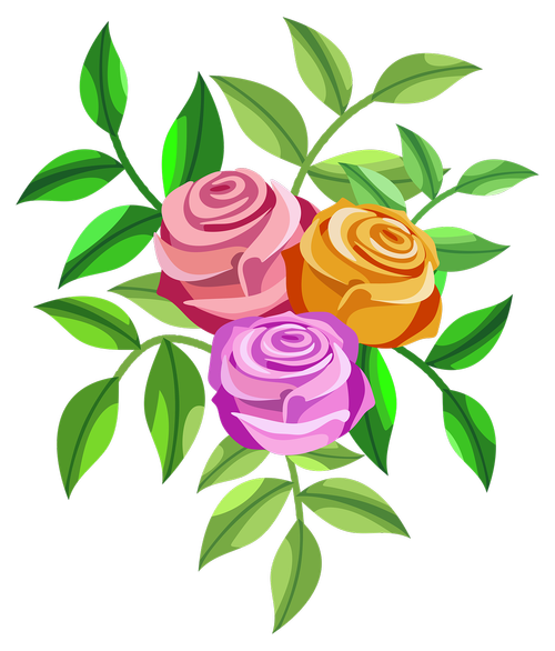 roses  flowers  floral