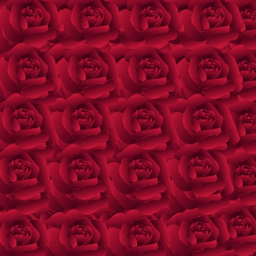 roses  red  texture