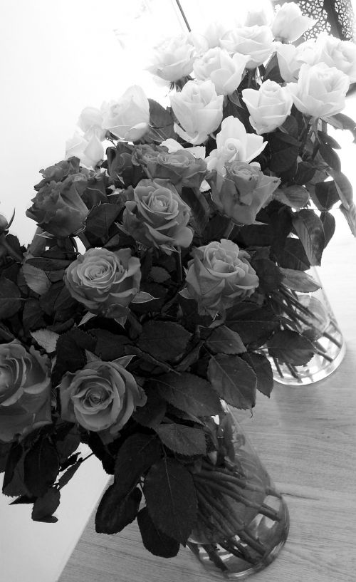 roses bouquet flowers