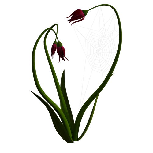 roses  fantasy  cobweb