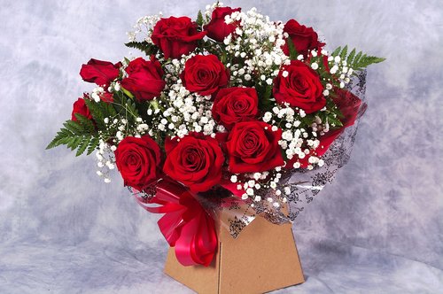 roses  valentines  love