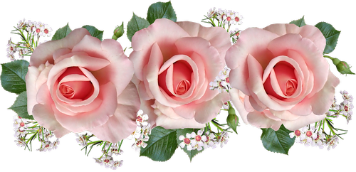 roses  flowers  wax flowers