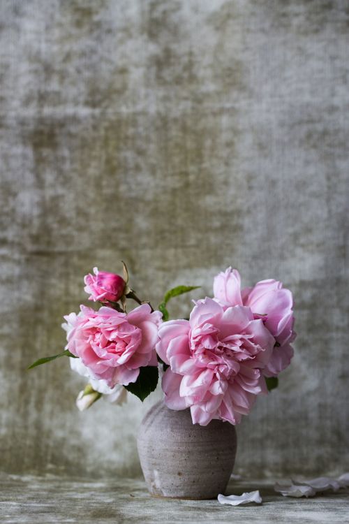 roses bunch bouquet