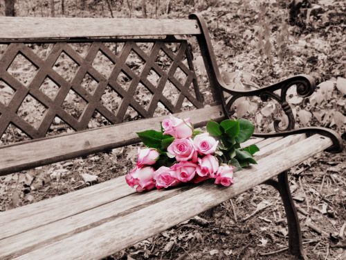 roses on bench selective coloring selective color